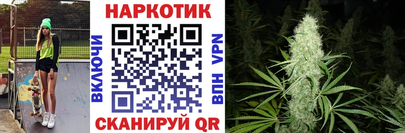 Где можно купить наркотики Кингисепп Конопля Cocaine ГАШ A-PVP АМФ KRAKEN маркетплейс Мефедрон