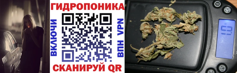Бошки марихуана LSD WEED  Кингисепп 